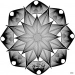 4
