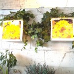 Bill's Lightboxes